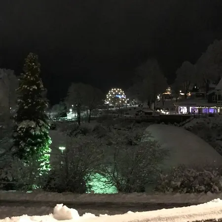 Ferienwohnung Am Waltenberg 50 Apartment Winterberg